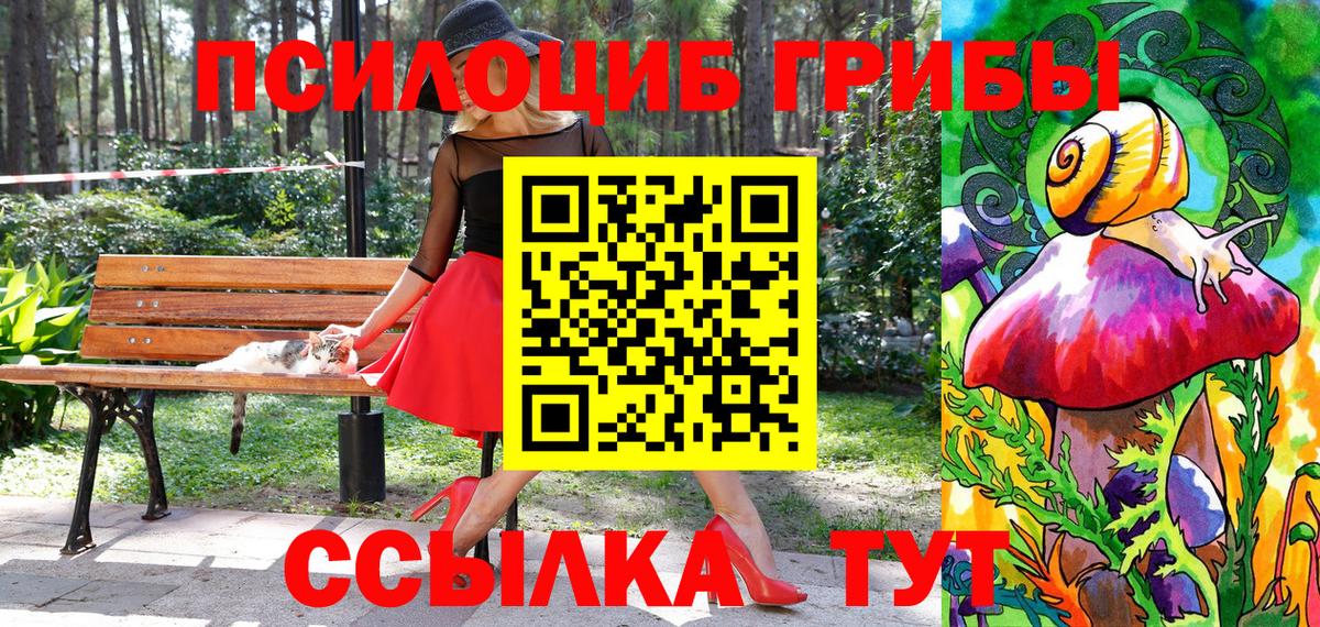 Куйбышев  Галлюциногенные грибы мухоморы  Вход с VPN 